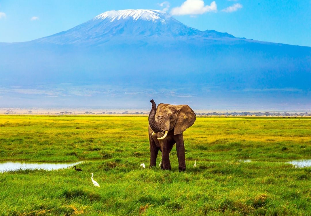 gold tourism tanzania(27)