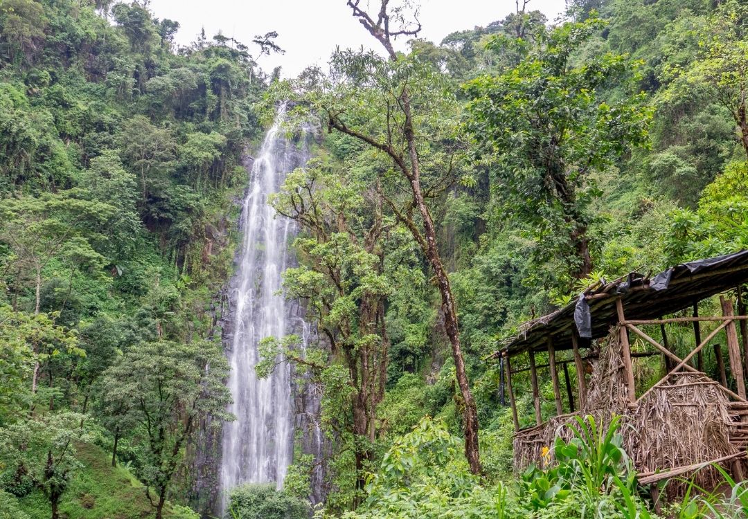 gold tourism tanzania
